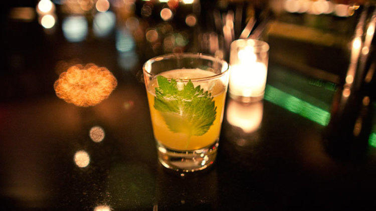 The Summit Bar