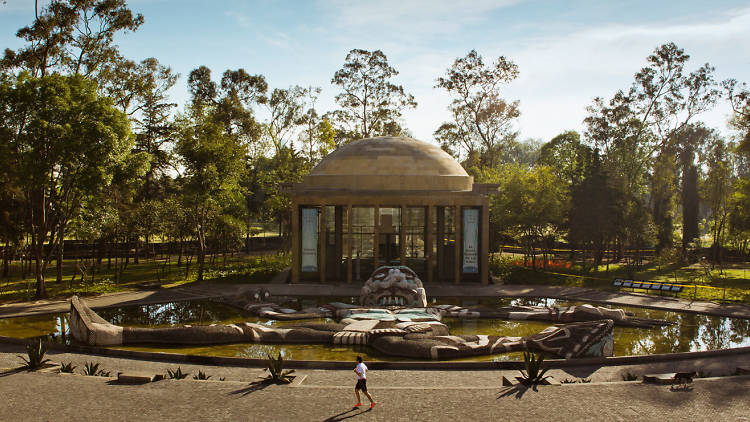 An installation which will soak you in water
