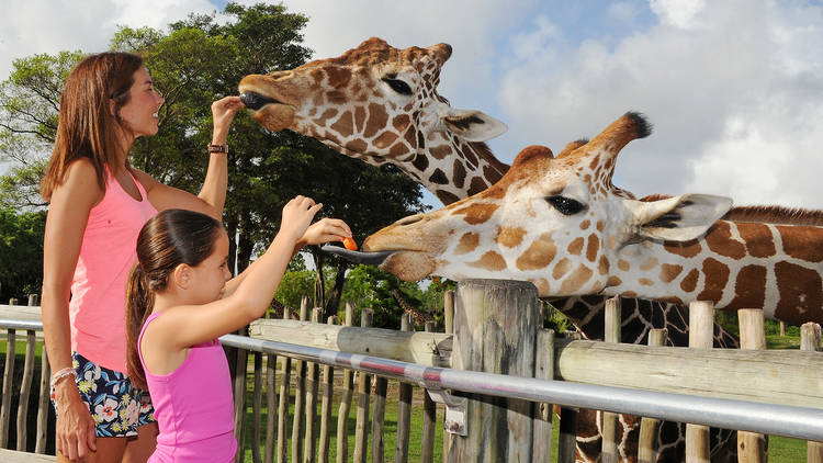 Zoo Miami