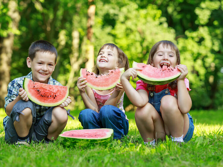 The best picnic spots in NYC for families