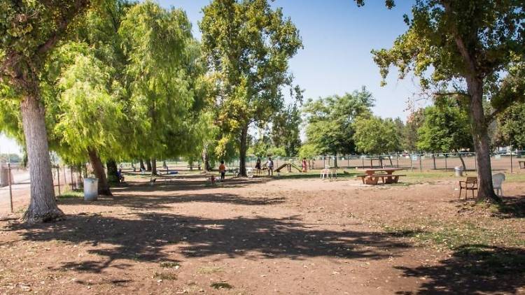 Sepulveda Basin Off-Leash Dog Park