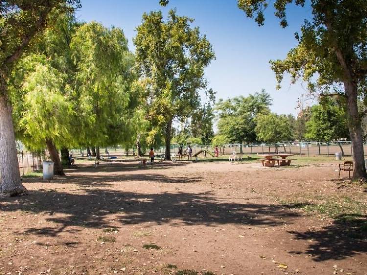 Sepulveda Basin Off-Leash Dog Park