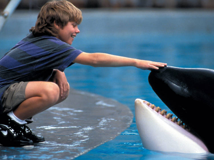Free Willy (1993)