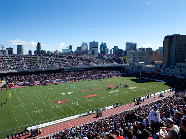 Root for the home team