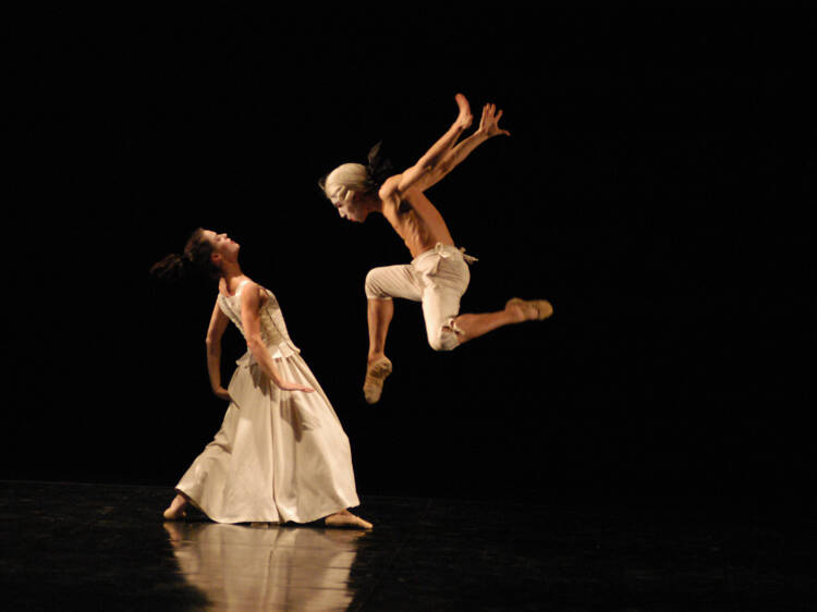 Witness a graceful performance