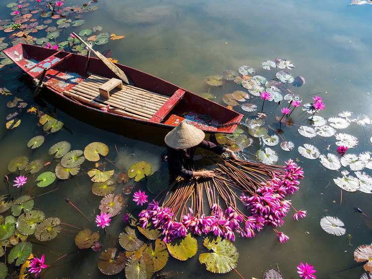 The most underrated Vietnamese cities to check out