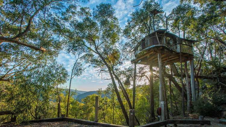The Wollemi Wilderness Treehouse