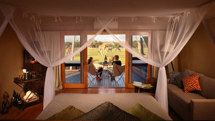 Zoofari Lodge