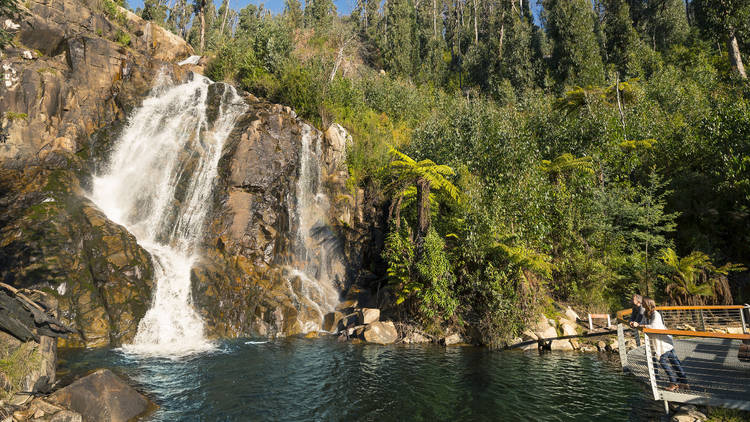 Steavenson Falls