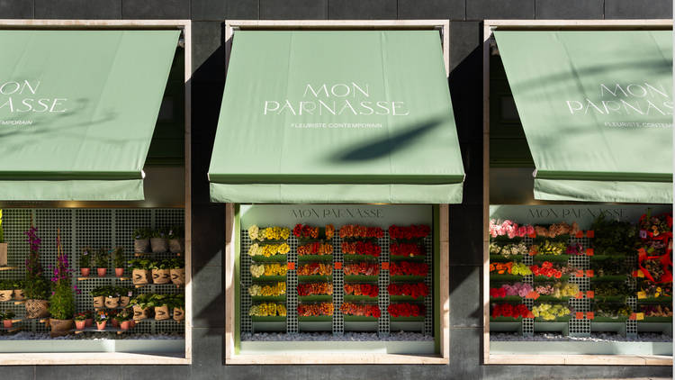Mon Parnasse