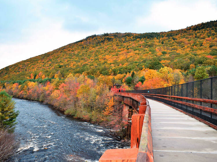 The best places to see fall foliage in the U.S.