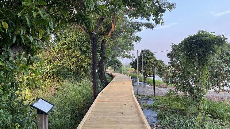 Do some bird-watching at Mai Po