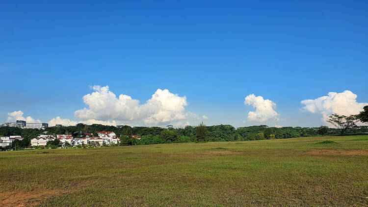 Old Holland Road Big Field