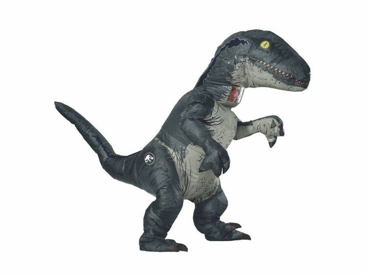 Velociraptor