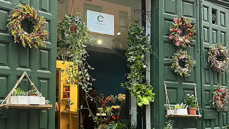 Caléndula Floristería