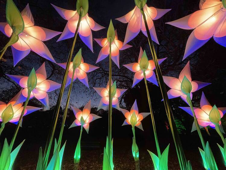 Fun things to do in Melbourne this month